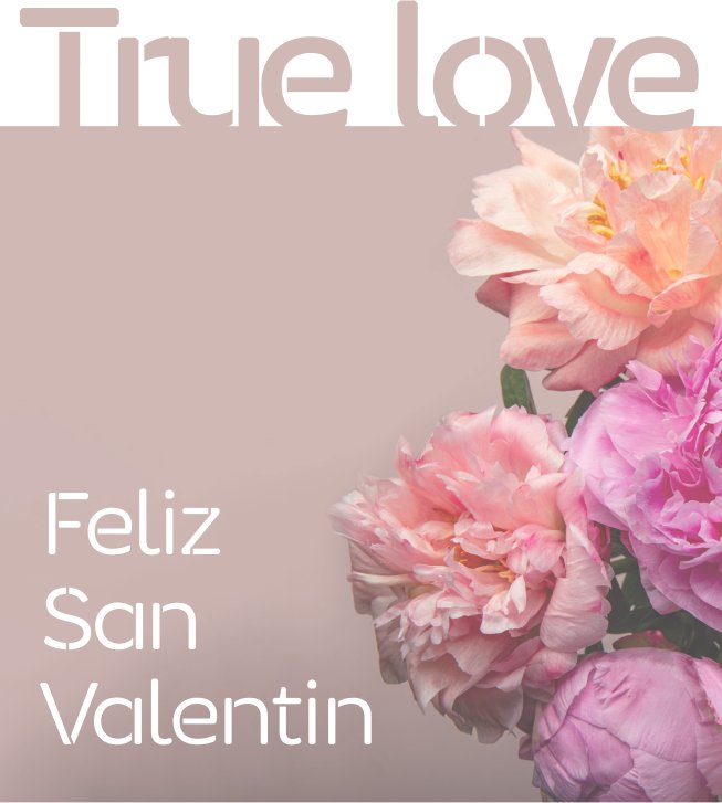 San Valentín - Seara Collection